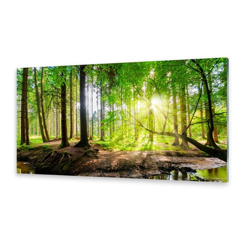 Glasbilder wandbild druck auf - glasbilder,