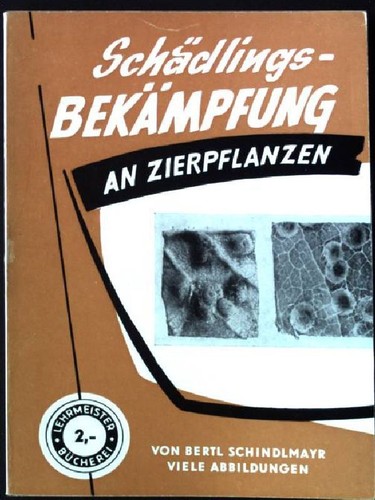 Schädlinge und krankheiten - schädlinge,