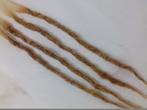 100 echthaar dreadlocks - 100%,