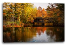 Wandbild Naturbilder Wald im