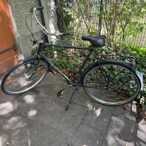 Gazelle herren zoll - herren, 28“
