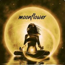 Kundalini Reiki Anwendungen 5 Sitzungen je 30 Minuten 