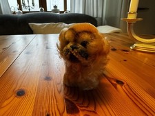 Steiff Hund „Peky“ (Modell