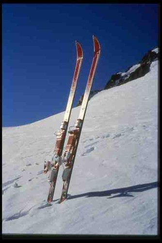 060086 back country - back,