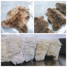 Echte Bio Schaffelle | Bis 140cm | Helle & Dunkle | 1&2 Wahl | Lammfell A-B Ware