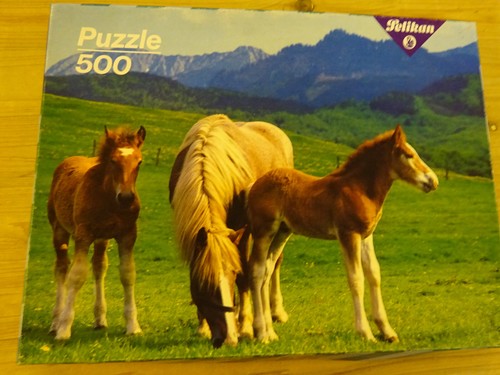 500 stute mit fohlen - stute,