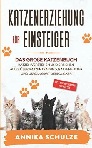 Katzenerziehung für
