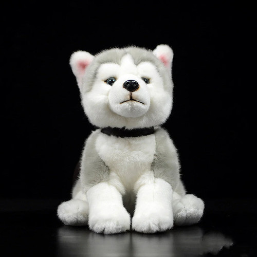 Husky kuscheltier - kuscheltier, cm