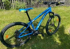 Mountainbike blau/grün