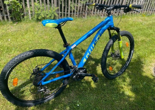 Mountainbike blau grün - mountainbike, blau/grün