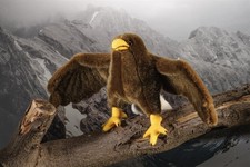 Kösen Adler Lilla örn