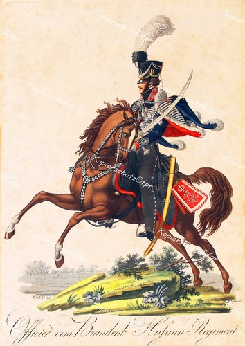 Jügel napoleon - jügel,
