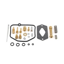 Vergaser Umbausatz passend