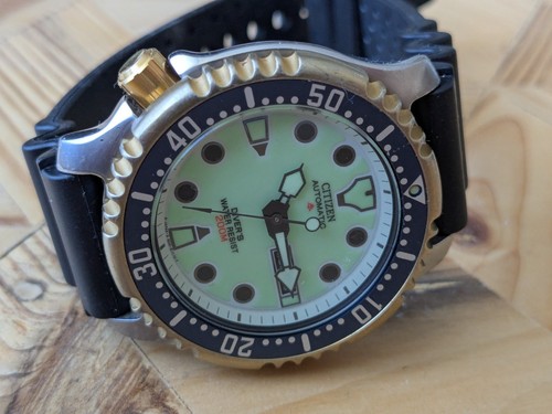 Citizen automatic promaster - automatic,