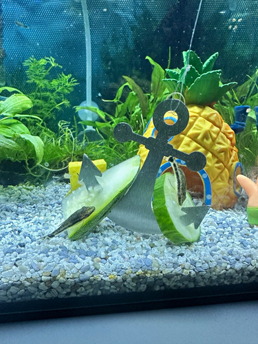 Aquarium anker figur aus - aquarium,