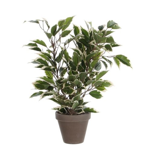 Mica kunstpflanze ficus - kunstpflanze,