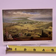 Auf Hiddensee German Postcard