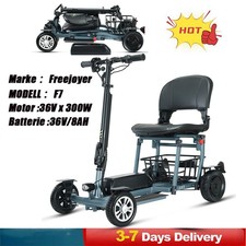 300W Freejoyer Mobility
