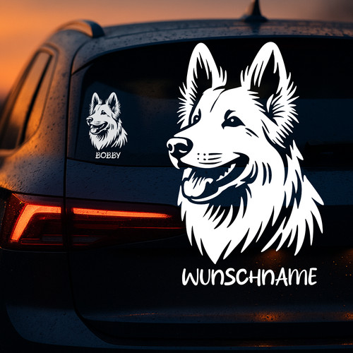 Berger blanc suisse auto - berger,
