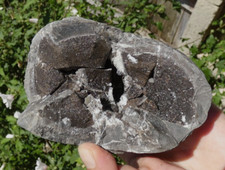 Herkimer Diamant Quarz in Septaria - Remuzat 11x10cm Mineral Sammlung selten