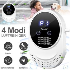 100mg/h Luftreiniger