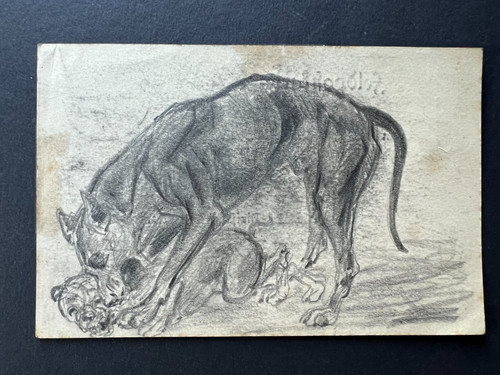 Dogge hund aktion - aktion,