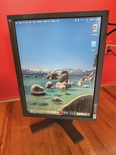 EIZO FlexScan L997 21.3in