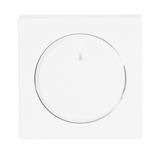 Busch-Jaeger Zentralscheibe