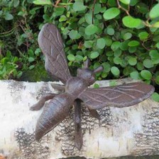 Biene Bienen Gartentiere