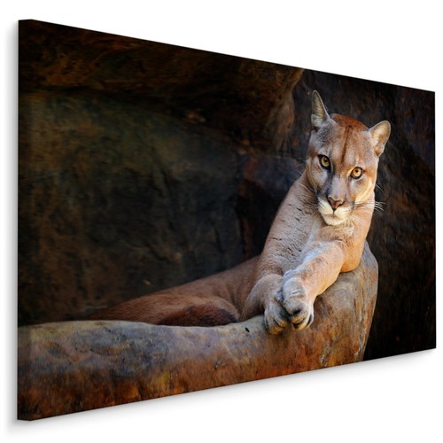 Canvas leinwand bilder - leinwand, xxl