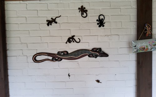 Geckos stück 4 - -,