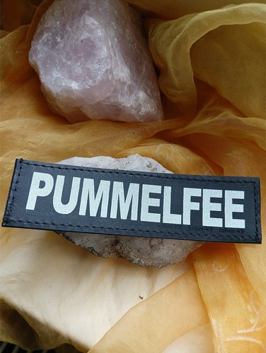 Pummelfee klettlogo x 3 - pummelfee, 11