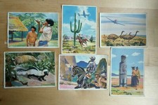 Sanella sammelbilder mittel - sanella, 6