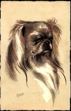Künstler Ak Pekingese, Pekinese, Hund-Portrait - 3564375
