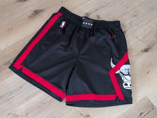 Nike NBA Chicago Bulls Herren