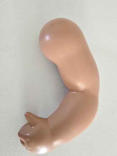 Schildkröt puppen arm - schildkröt,