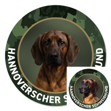 Hannoversche Schweißhund