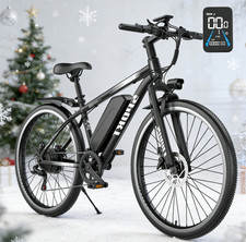 Elektrofahrrad für Erwachsene