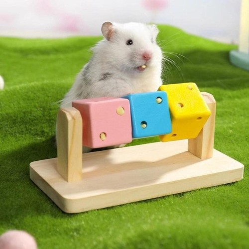 Hamster cage toy sport - cage,