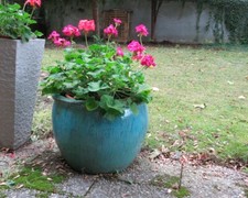 Große Blumentopf -Blumenkübel -Pflanzgefäß -Keramik- Ø 55cm -H 40cm -Top Zustand