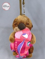 Diverse sea rider otter - sea,