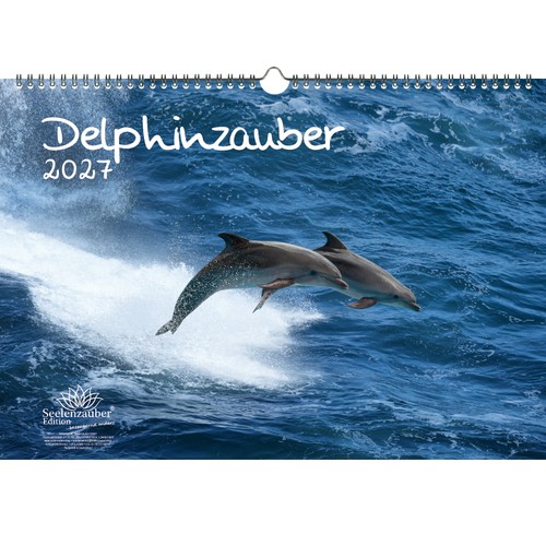 Delphinzauber din kalender - din,