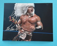 Tatanka   , WWE / WWF    -