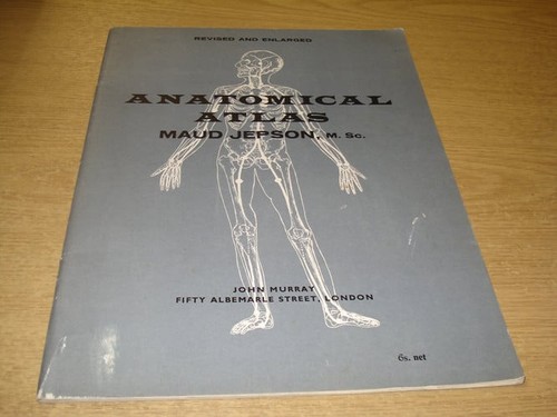 Anatomical atlas maud - anatomical,