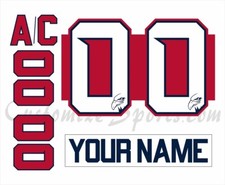 Adler Mannheim Customized