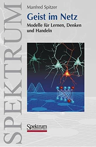 Geist netz modelle für - netz:,