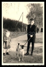 Foto, Fam.a.Nürnberg, die Kinder beim Gassi gehen mit Hund, 5026-1211