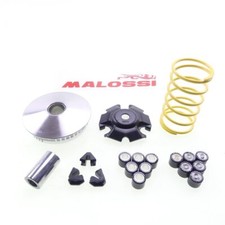 Variomatik Malossi Multivar