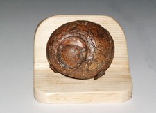 Rarität, Natur Wüstenstein auf Holzsockel, 508g., Suiseki, Bonsai