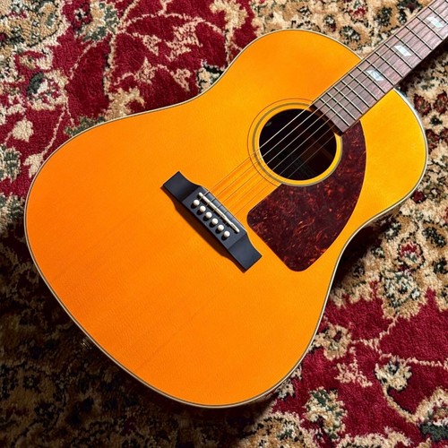 Epiphone texan 2016 - epiphone,
